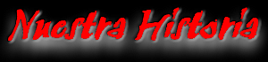 Por qu� creamos Parteras en Acci�n